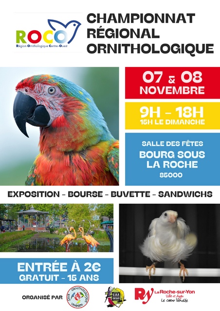 Régional oiseaux ROCO 2025